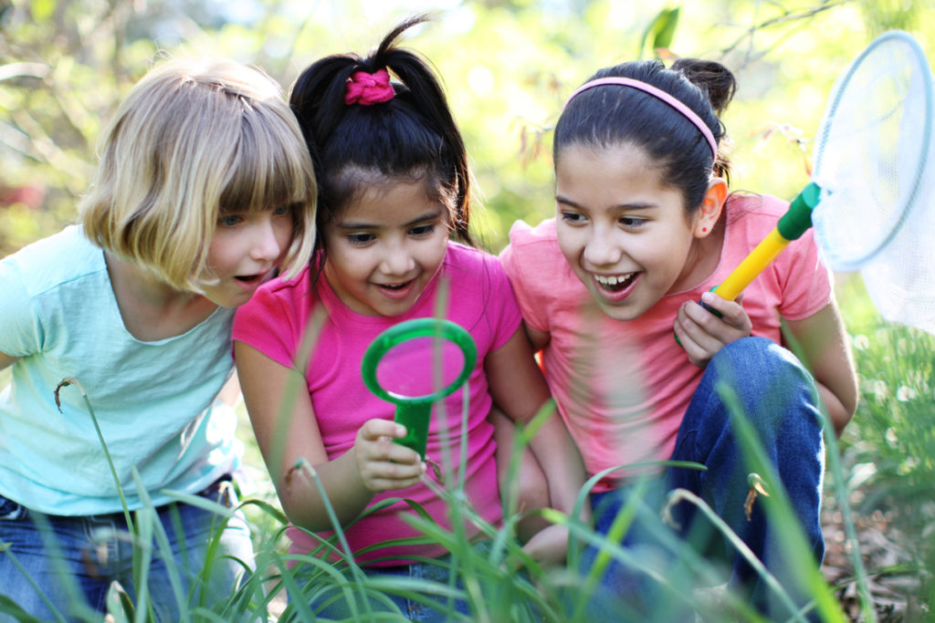 children's are discovering at outside