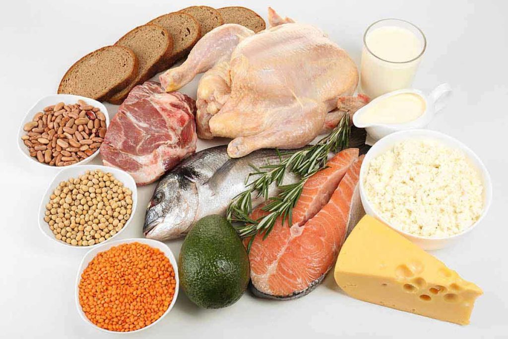 protein_foods