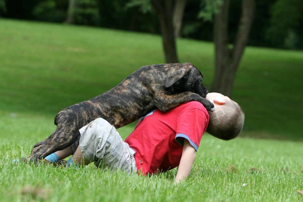 child-plying-with-dog